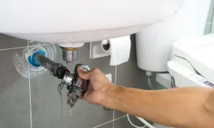 a kitchen sink drain with roots